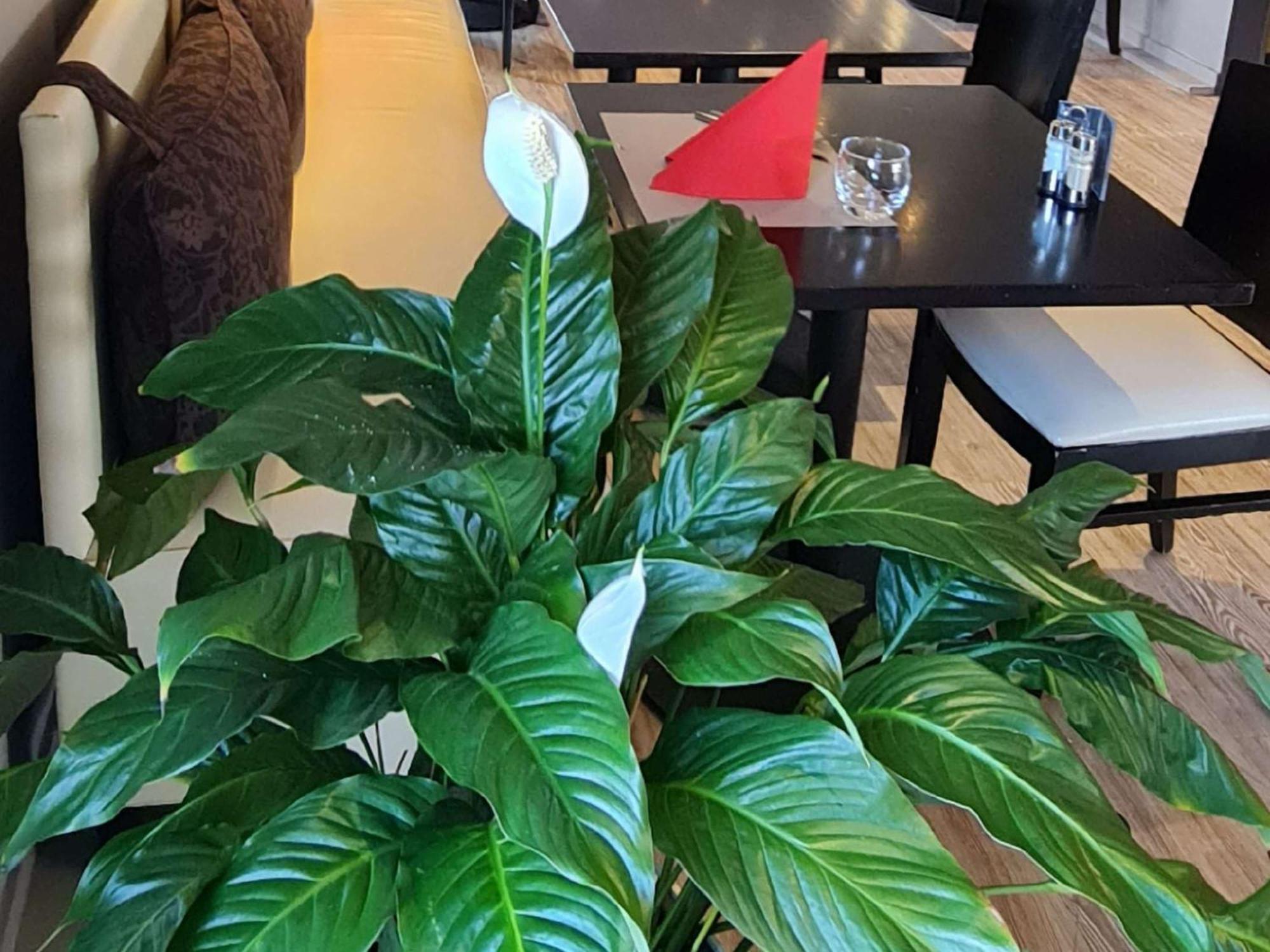 Ibis Vannes Buitenkant foto